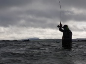 Fly Fish Islay Sea Trout Fishing